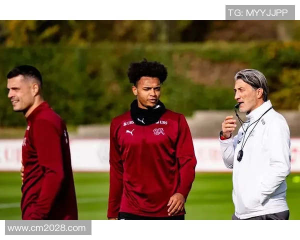 瑞士与英格兰足球赛精彩直播全程回顾与分析 瑞士与英格兰足球赛精彩直播全程回顾与分析