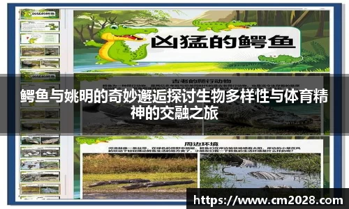 XK体育